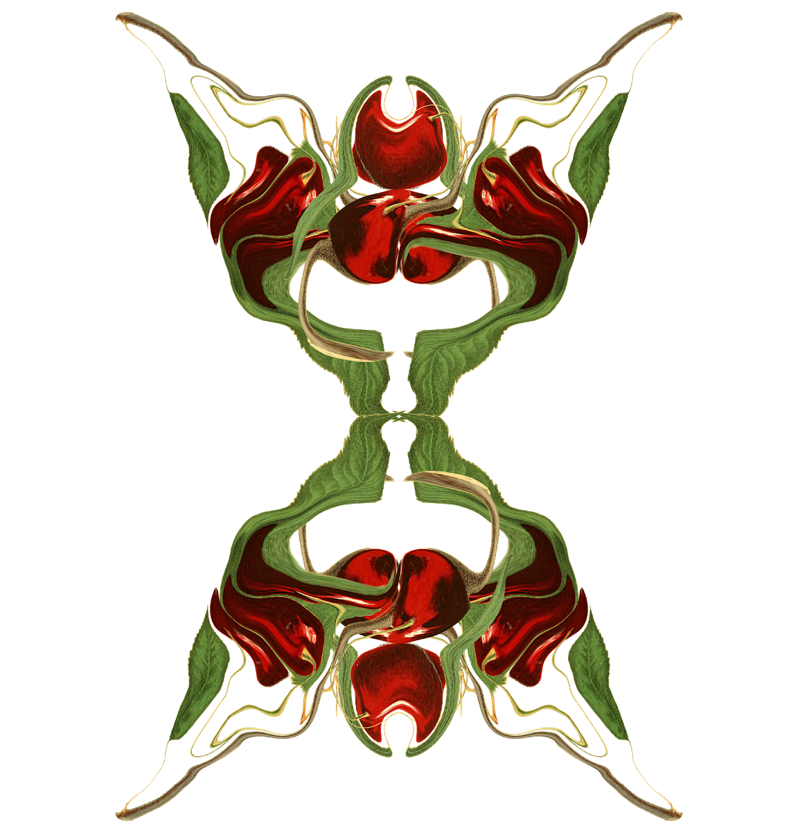 A symmetrical illustration that resembles fruit.